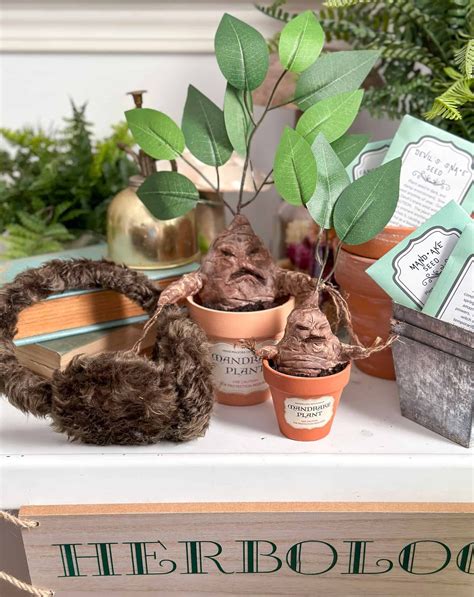 Harry Potter DIY mandrake plants | Harry potter diy, Harry potter decor ...