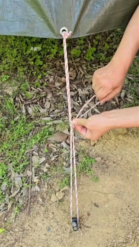 Best Squeegee for Windows 的图像结果