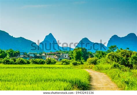 Country Road Scean 的图像结果