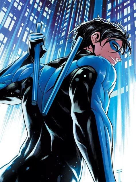 Nightwing Btas 的图像结果