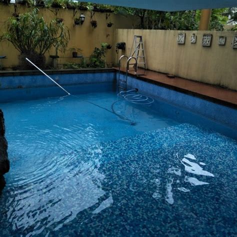 Alpha Pool Service 的图像结果