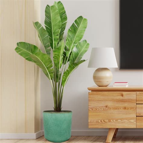 Home Decoration Straight Plastic Flower Pot Ceramic Pot Indoor and ...