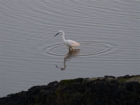 Quicksand Pool 的图像结果