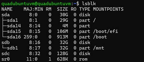 Image result for Disk Inter Linux
