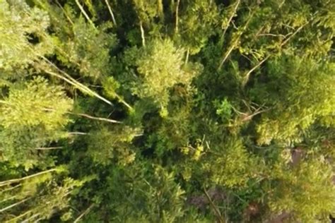 Bayer completes sale of its Environmental Science Professional business ...