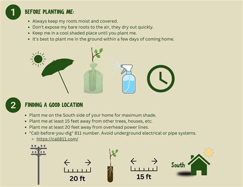 Image result for Tree Planting Guide