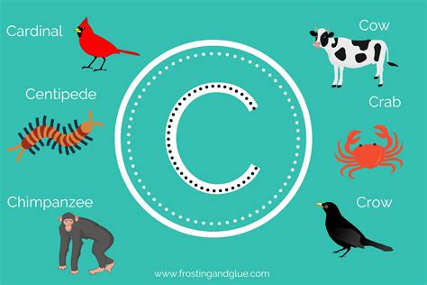 Nonliving Things That Start With C at Kristen Benjamin blog