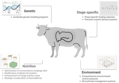 Research Progress on Methane Emission Reduction Strategies for Dairy Cows