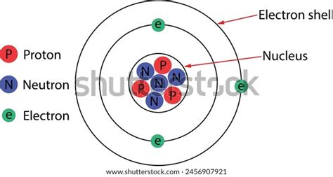 Structure Atom Labelled Diagram Stock Vector (Royalty Free) 2456907921 ...