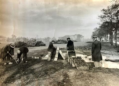 The History of the Stray, Harrogate Library, 29 January 2025 | AllEvents
