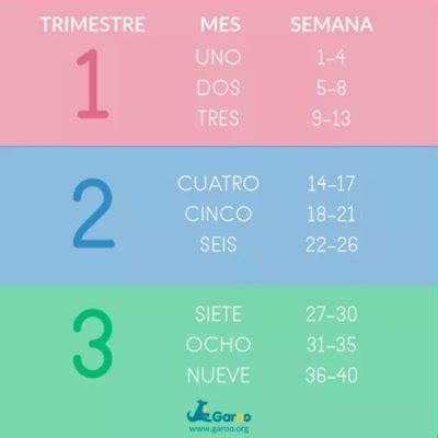 Cuantos meses son 19 semanas? | BabyCenter