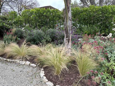 Drought Tolerant Lawns Beyond The Lawn: Drought Tolerant Landscaping