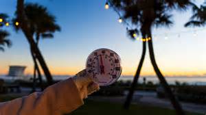 Florida weather, will the upcoming cold be enough to freeze iguanas?