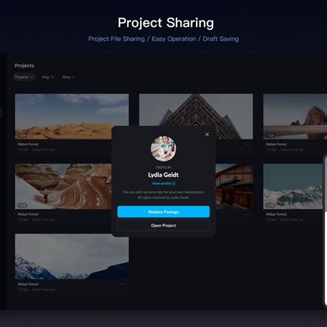 Image result for VN Editor Windows
