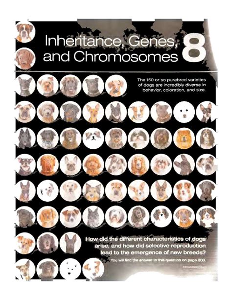 Principles OF LIFE 3RD Edition 8 AND 9 - Inheritance Genes and ...