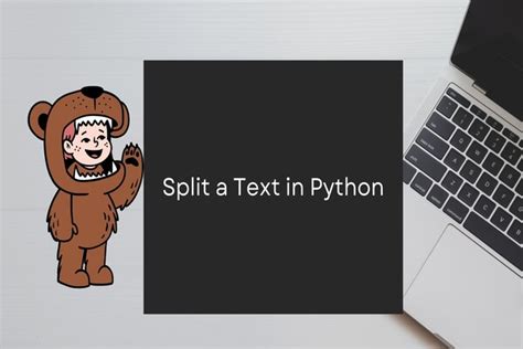 Image result for Split Function Python