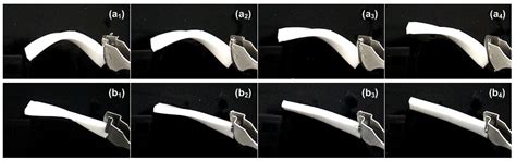 Mechanisms of the Shape Memory Effect in Polymeric Materials