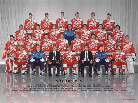 Image result for Modo Hockey Arena