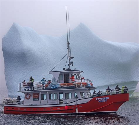 ICEBERG QUEST OCEAN TOURS (2025) All You Need to Know BEFORE You Go ...