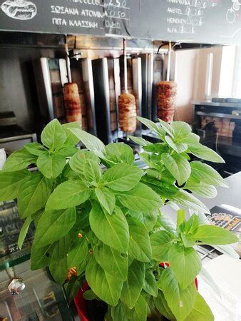 The Best Cholargos Bed and Breakfasts 2022 (with Prices) - Tripadvisor