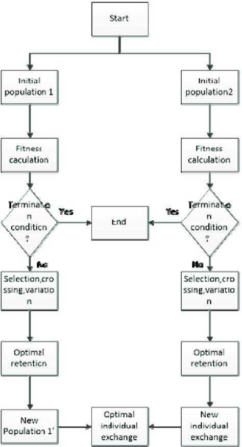 Image result for Double Genetic Algorithm