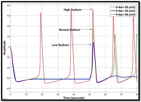 Ionic Imbalances and Coupling in Synchronization of Responses in Neurons