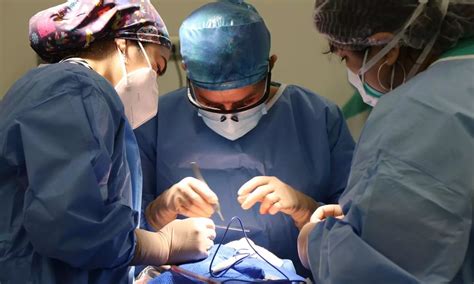 9-Year-Old with Severe Epilepsy Undergoes Rare Vagus Nerve Stimulation ...