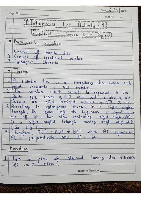 Class 9 Algebra Lab Activity 的图像结果