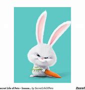 Image result for Bunny Rabbit Wallpaper