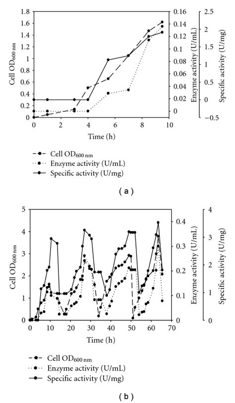 Image result for Dynamic Cell Progress