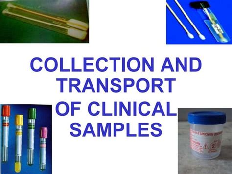Image result for Sample Collection Room