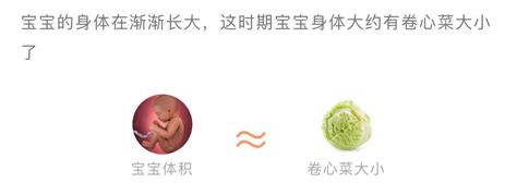 胎儿34周发育标准数值对照表-菠萝孕育