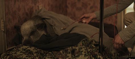 Slideshow: Birth/Rebirth Gallery