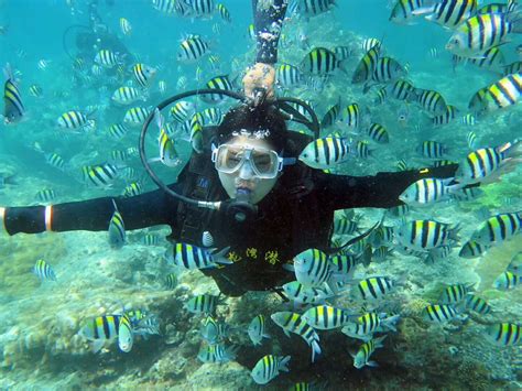 在这个温度适宜的季节里，来三亚考个潜水证便可以去全世界潜水_水域