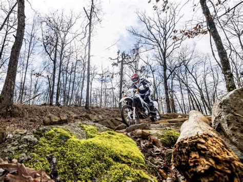 New 2025 Honda XR650L White | Motorcycles in Brookhaven MS