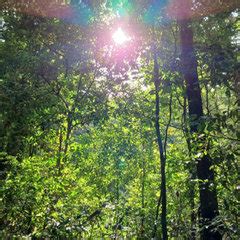 SOMETHING BLUE DESIGNS - Project Photos & Reviews - Bangalore Urban ...