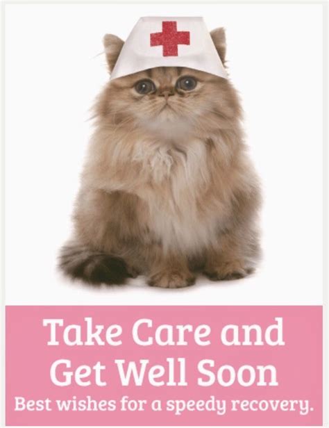 Get Well Soon Nurse Cat