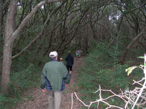 Fort Macon State Park › North Carolina Science Trail