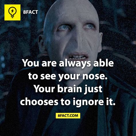 Image result for Random Facts to Know