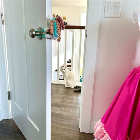 Image result for Sloth Mate