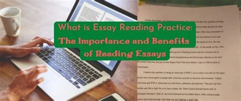 Image result for Essay Reading