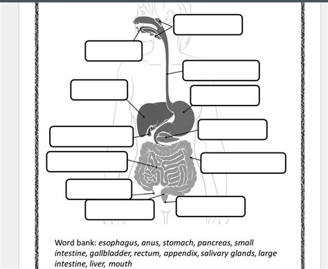 Image result for Digestive System Questions