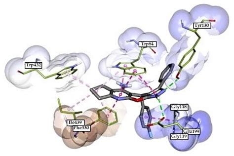 Merged Tacrine-Based, Multitarget-Directed Acetylcholinesterase ...