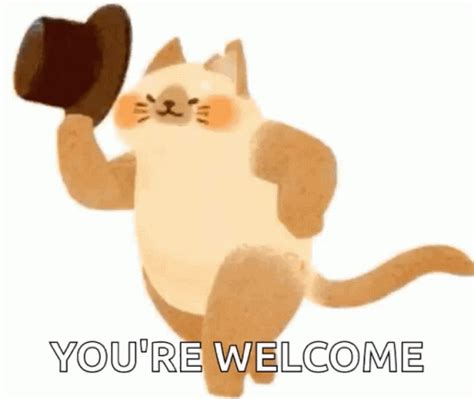 Youre Welcome Cat Meme