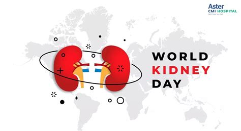 Understanding the Child Nervous System: Development and Functions | Aster