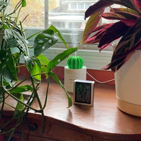 Image result for Mini Plant Humidifiers