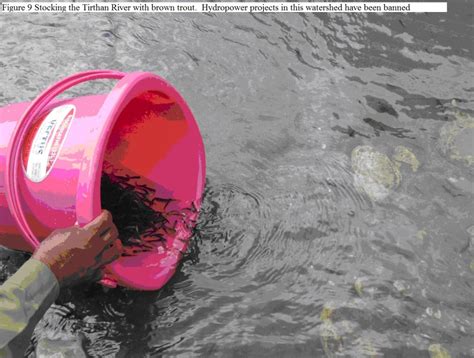 The Socio-Ecological Effects of Small Hydropower Development in ...