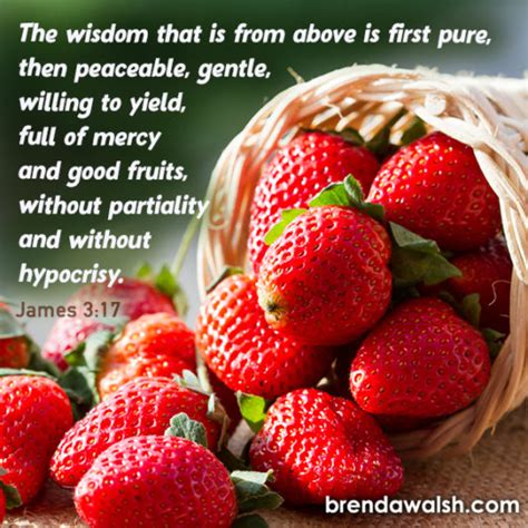 Divine Wisdom - Brenda Walsh Scripture Images