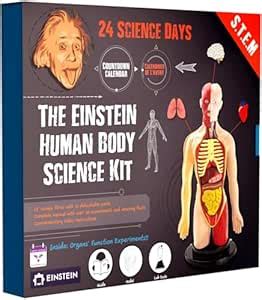 Einstein Human Body Science Kit Advent Calendar: 24 days of and S.T.E.M ...