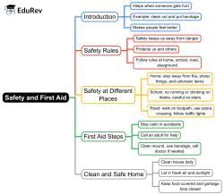 Safety and First Aid Mind Map - Class 2 EVS PDF Download